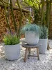Three planters with plants are arranged on a gravel surface in a garden setting, with a stack of firewood in the background. Náhľad obrázku produktu