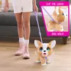 Furreal Poopalots Piesek Interaktywny na smyczy Hasbro Podgląd zdjęcia produktu 16