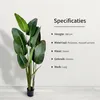 IvoQ Strelitzia umelá rastlina 180 cm - veľká rajská Náhľad obrázku produktu 8