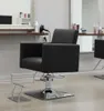 Fauteuil de coiffure Tom hydraulique pivotant pour salon de Voir les images du produit 9