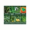 Gurkensamen Set - 8 Sorten Samen - Saatgut Sortiment - Produktbild-Vorschau 2