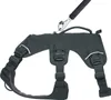 Ruffwear Hundegeschirr Web Master Harness Basalt Gray, Produktbild-Vorschau 5