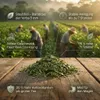 Verde Mate Energia Verde Guaranà 0,5 kg Anteprima dell’immagine prodotto 7