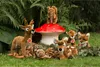 Wildschweinfrischling, ca. 22 Produktbild-Vorschau 8