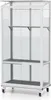 Vitavia Balkon- und Anlehn-Gewächshaus "Stad" aluminium Produktbild-Vorschau 2