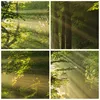 Wanduhr - Rund - Glasuhr - Wald Baum Natur - 30x30cm - Produktbild-Vorschau 8