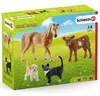 schleich FARM WORLD 72161, 3 Jahr(e), Farm, Farm animals / Produktbild-Vorschau 4