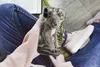 MuchoWow® Handyhülle Schutzhülle Hülle für iPhone 13 Pro Produktbild-Vorschau 3