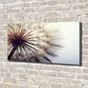 Tulup® Leinwandbild - 140x70 cm - Wandkunst - Drucke auf Produktbild-Vorschau 2