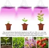 EINFEBEN LED Pflanzenlampe Grow Lampe 15W 225 LEDs Produktbild-Vorschau 5
