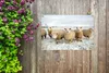 MuchoWow® 60x40 cm Outdoor-Poster Gartendeko Sichtschutz Produktbild-Vorschau 5
