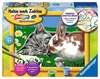 Kätzchen und Häschen Ravensburger 27840 Produktbild-Vorschau 6