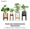 Fox & Fern Porte Plante Interieur, Support de Plantes en Voir les images du produit 6