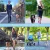 Jogginggürtel Freihändige Hundelaufleine mit Produktbild-Vorschau 3