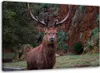 Leinwandbild könig des waldes 60x40 cm Feeby braun wandbild Produktbild-Vorschau 1