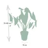 Alocasia Zebrina Ø19Cm - ↕75Cm Produktbild-Vorschau 8