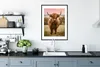 MuchoWow® Gerahmtes Poster Schottischer Highlander - Kuh - Produktbild-Vorschau 4
