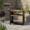 A BBQ grill cart with utensils and plants in an outdoor setting. Anteprima dell’immagine prodotto