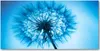 Tulup Glas-Bild -140x70- Wandkunst Dekorative Wand für Produktbild-Vorschau 1
