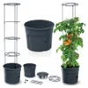 Prosperplast TOMATO GROWER bac à tomates 29,5 cm anthracite Voir les images du produit 31
