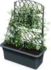 3.10 Jardinière avec pergola BLOMA en anthracite- env. 59 x Voir les images du produit 1