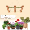 A collage of a plant grow light and various potted plants. Náhľad obrázku produktu
