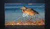 Mikrokomputer Orange Pi 5B 4GB HDMI 8K DDR4 USB C RK3588S + Podgląd zdjęcia produktu 12