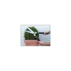 FREUND VICTORIA Heckenschere 5370 - Länge Blatt: 24 cm - Produktbild-Vorschau 2