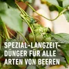 COMPO Beeren- und Obst Langzeit-Dünger für 45 m² - 2 kg Produktbild-Vorschau 7