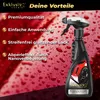 Exklusiv Chemie Carnauba Sprühwachs | Autopolitur für Glanz Produktbild-Vorschau 5