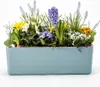 A planter box filled with various spring flowers and greenery, including hyacinths, muscari, daffodils, and primroses. A small thermometer is visible on the left side. Náhled obrázku produktu