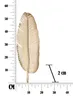 Mauro Ferretti Dekoschale Blatt Gold 18x2x55 cm Produktbild-Vorschau 9