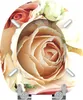 SANILO® WC sedátko s mechanismem Soft-Close Pink Rose, WC Náhled obrázku produktu 6