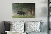 MuchoWow® - Leinwandbilder - Wildschwein - Rotwild - Wald, Produktbild-Vorschau 5