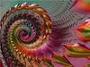 CALVENDO Puzzle Jolly Spiral Beauty | 2000 Teile Lege-Größe Produktbild-Vorschau 3