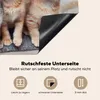 KitchenYeah© Herdabdeckplatte Katze - Kätzchen - Fell , Produktbild-Vorschau 5