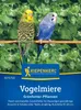Kiepenkerl Rasensamen Vogelmiere Frischgrün-Futter für ca. Produktbild-Vorschau 1