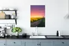 MuchoWow® Poster Blumen - Straße - Himmel - Gelb - Lila - Produktbild-Vorschau 3