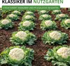 Winterblumenkohl Walcheren Samen - Brassica oleracea Produktbild-Vorschau 8