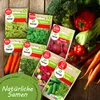 TORAF Gemüsesamen Set XXL, 3000 Samen, 7 Sorten, Garten & Produktbild-Vorschau 2