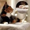 lionto Fensterbrettliege, weiche Katzenliege mit Produktbild-Vorschau 3