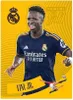 Panini Real Madrid Tribute 23/24 Cartes à collectionner Voir les images du produit 4