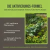 C44 Pflanzenkohle Aktivierungsset | Brennnesselsud + Produktbild-Vorschau 11