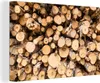 OneMillionCanvasses® - Leinwandbilder - 140x90 cm, Ein Produktbild-Vorschau 1