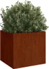 A square planter with a plant inside, set against a white background. Náhled obrázku produktu