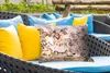 MuchoWow® Outdoor Kissen - Bus - Tiere - Kinder - Jungen - Produktbild-Vorschau 4
