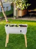 Gusta Garden Sammy Salad, Topfpflanzer, Freistehend, Produktbild-Vorschau 24