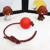 Wurfball Hund, 3 Stück Elastische Hundespielzeug Ball mit Produktbild-Vorschau 5