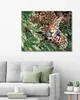 Zuty - Malen nach Zahlen - GEPARD, 40x50 cm, mit Keilrahmen Produktbild-Vorschau 2