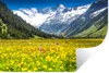 MuchoWow® - Aufkleber Produktbild-Vorschau 1